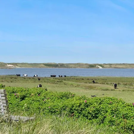 Feriehus 193-vestervig-vesterhavsvej-36 *